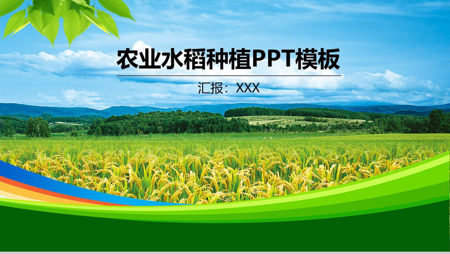 简约商务风农业水稻种植PPT模板